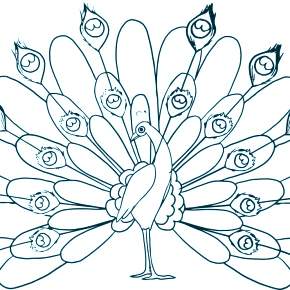 Раскраска Птицы Раскраска Птицы