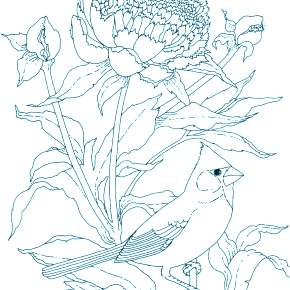 Раскраска Птицы Раскраска Птицы