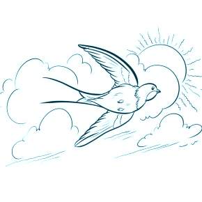 Раскраска Птицы Раскраска Птицы