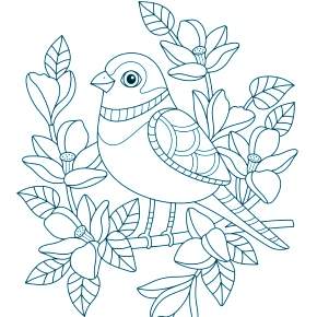 Раскраска Птицы Раскраска Птицы