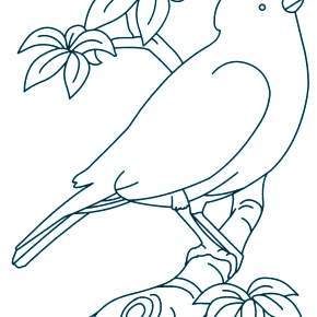 Раскраска Птицы Раскраска Птицы