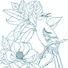 Раскраска Птицы Раскраска Птицы