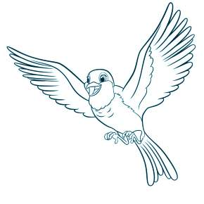 Раскраска Птицы Раскраска Птицы