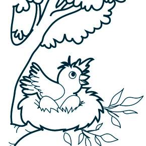 Раскраска Птицы Раскраска Птицы