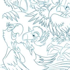 Раскраска Птицы Раскраска Птицы