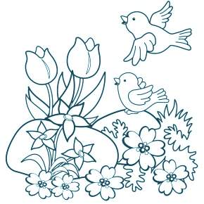 Раскраска Птицы Раскраска Птицы