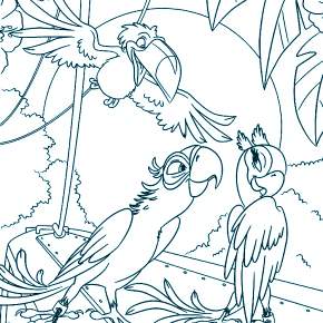 Раскраска Птицы Раскраска Птицы