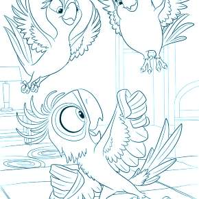 Раскраска Птицы Раскраска Птицы