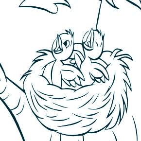 Раскраска Птицы Раскраска Птицы