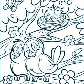 Раскраска Птицы Раскраска Птицы