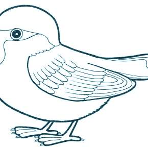 Раскраска Птицы Раскраска Птицы