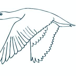 Раскраска Птицы Раскраска Птицы