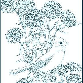 Раскраска Птицы Раскраска Птицы