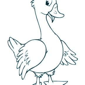 Раскраска Птицы Раскраска Птицы