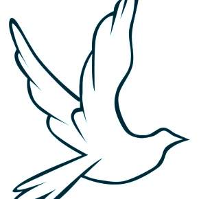 Раскраска Птицы Раскраска Птицы