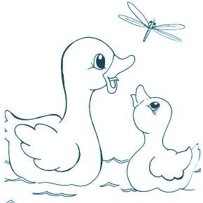 Раскраска Птицы Раскраска Птицы