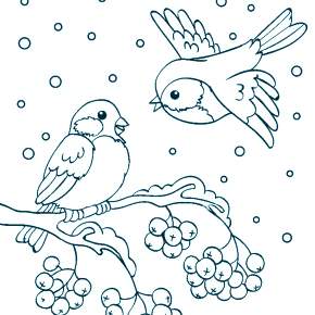 Раскраска Птицы Раскраска Птицы