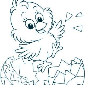 Раскраска Птицы Раскраска Птицы