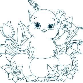 Раскраска Птицы Раскраска Птицы