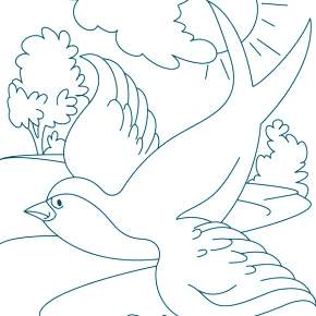 Раскраска Птицы Раскраска Птицы