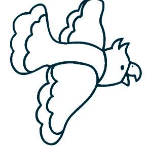 Раскраска попугаи