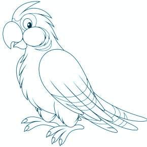 Раскраска попугаи