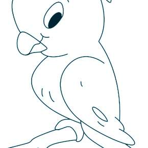 Раскраска попугаи