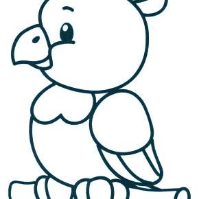 Раскраска попугаи