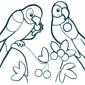 Раскраска попугаи