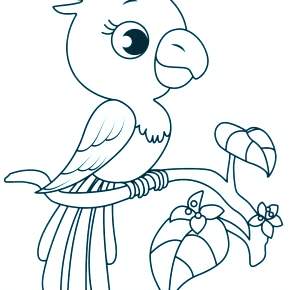 Раскраска попугаи