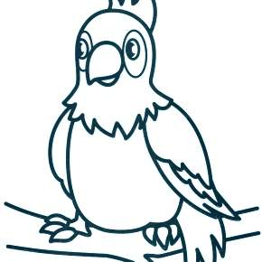 Раскраска попугаи