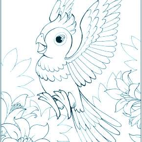 Раскраска попугаи