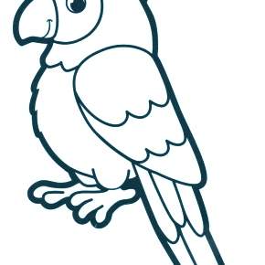 Раскраска попугаи