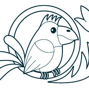 Раскраска попугаи