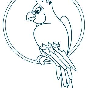 Раскраска попугаи