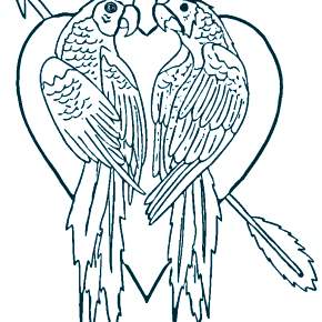Раскраска попугаи