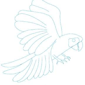 Раскраска попугаи