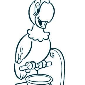 Раскраска попугаи