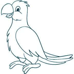 Раскраска попугаи