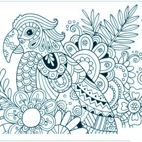 Раскраска попугаи