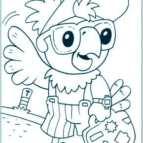 Раскраска попугаи