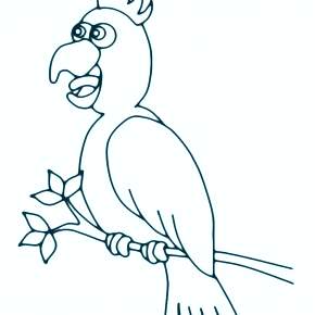 Раскраска попугаи