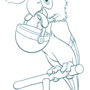 Раскраска попугаи