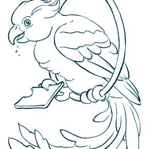 Раскраска попугаи