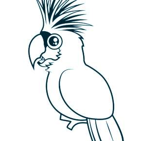 Раскраска попугаи