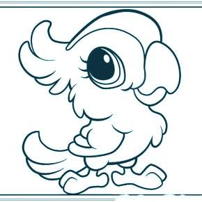 Раскраска попугаи