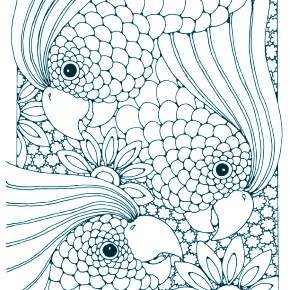 Раскраска попугаи