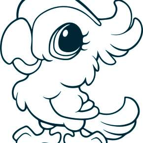 Раскраска попугаи