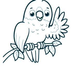 Раскраска попугаи