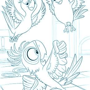 Раскраска попугаи